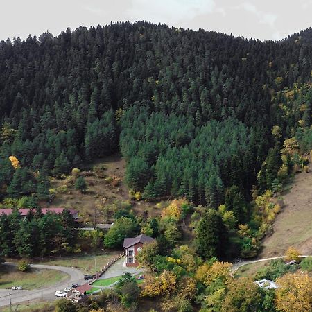 Holiday Borjomi Qvibisi Ngoại thất bức ảnh
