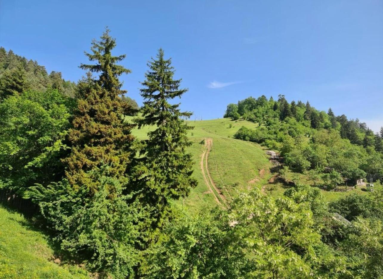 Holiday Borjomi Qvibisi Ngoại thất bức ảnh