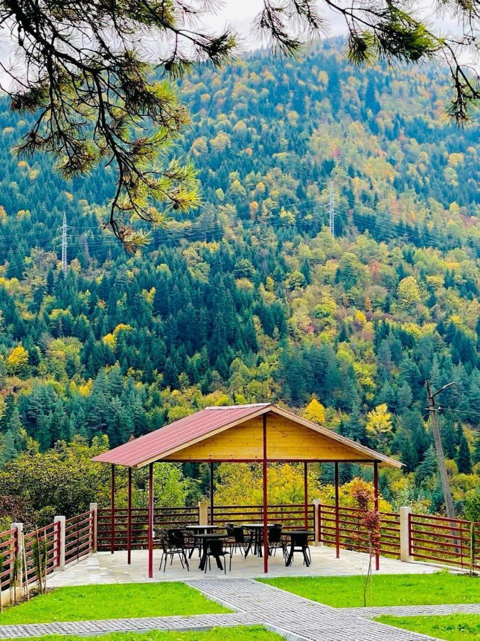 Holiday Borjomi Qvibisi Ngoại thất bức ảnh