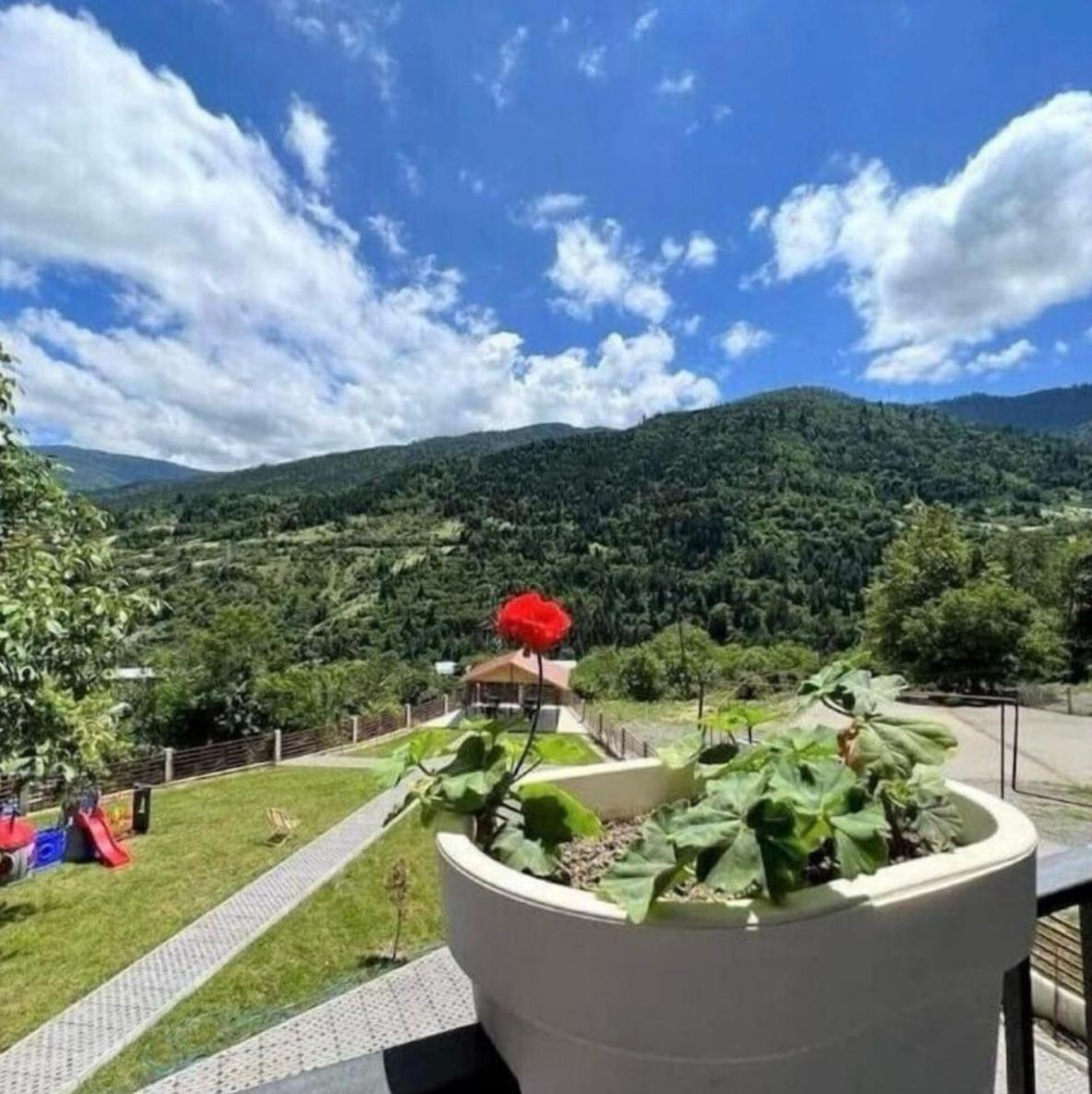 Holiday Borjomi Qvibisi Ngoại thất bức ảnh