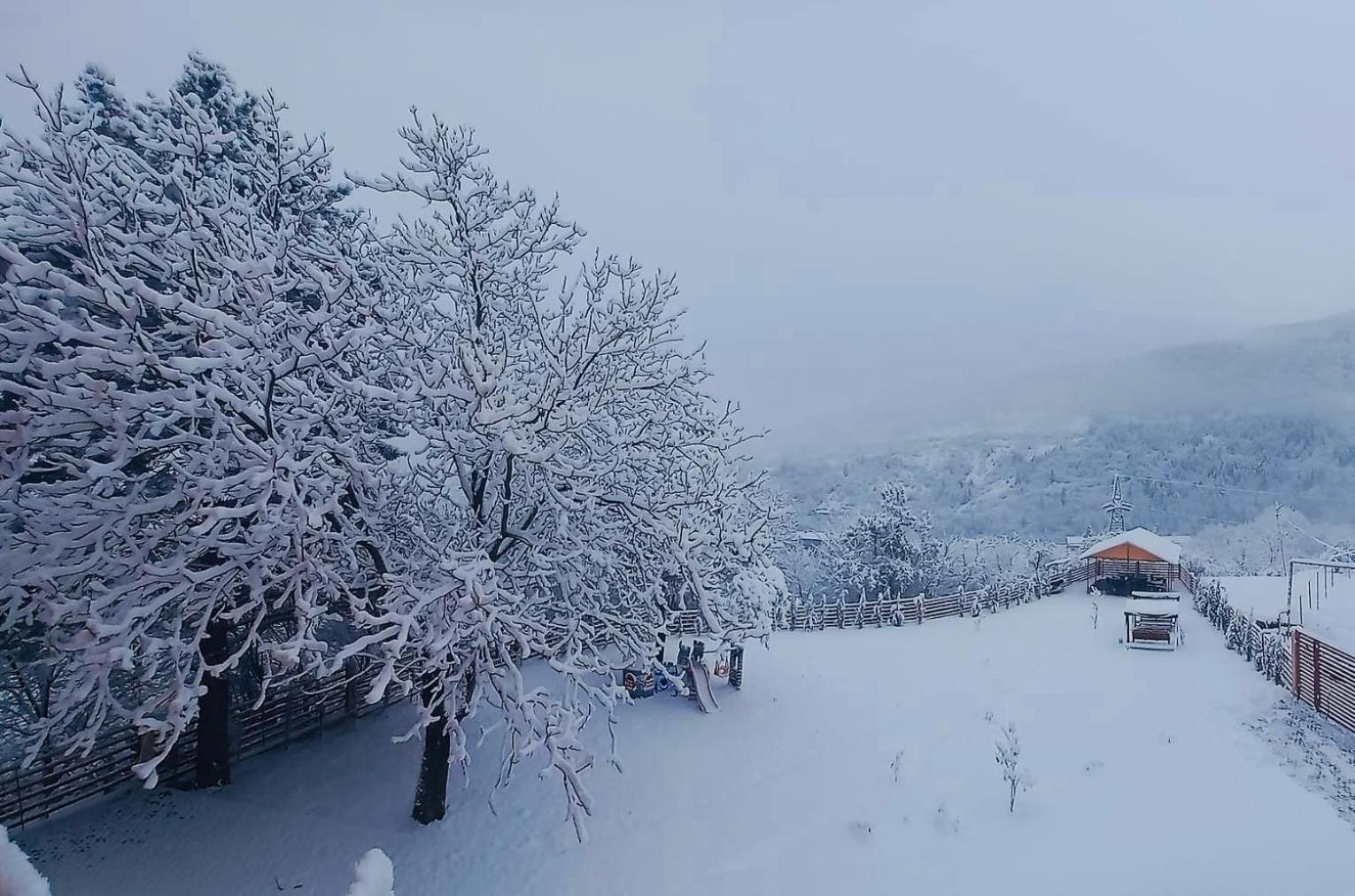 Holiday Borjomi Qvibisi Ngoại thất bức ảnh