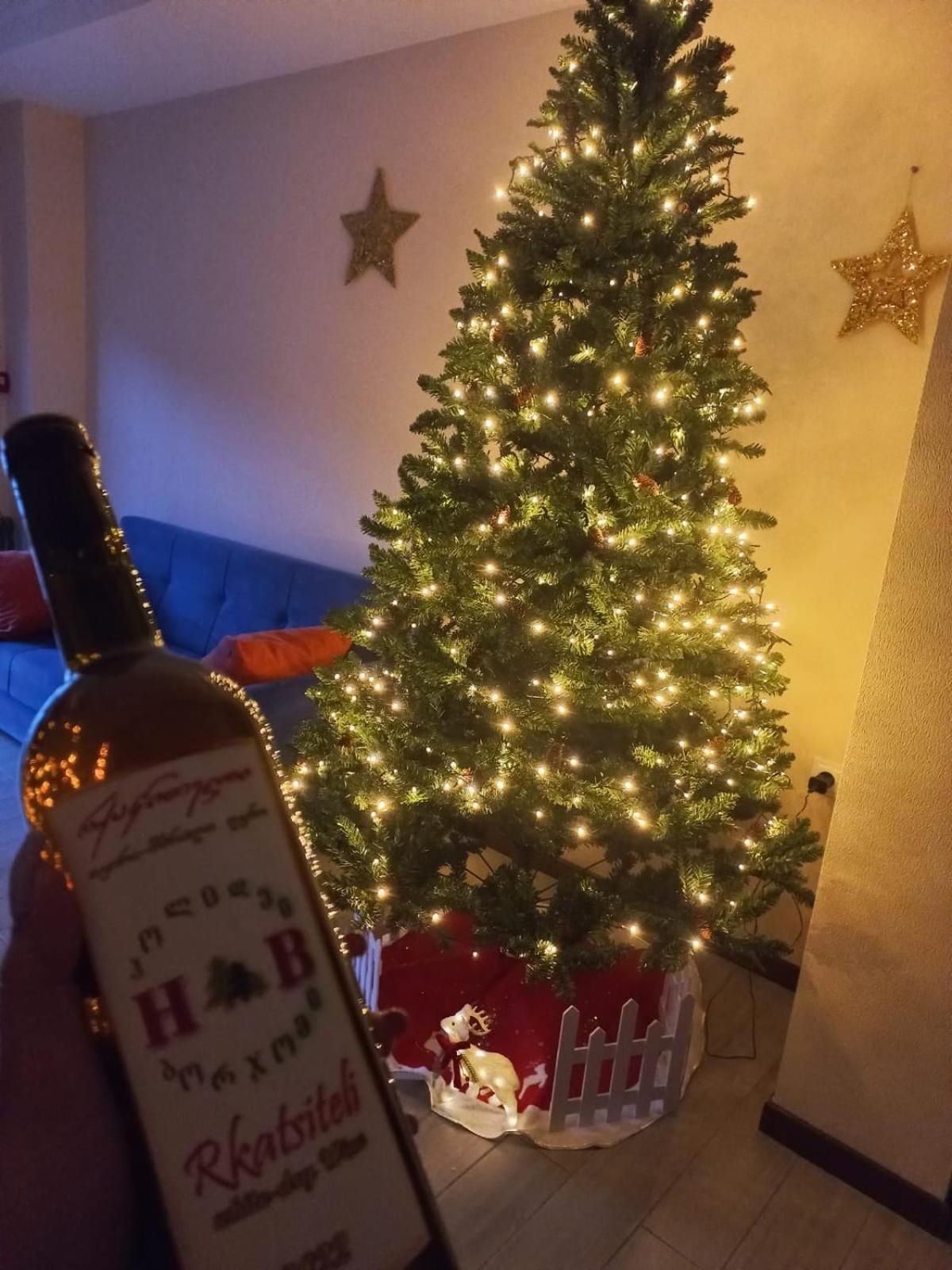 Holiday Borjomi Qvibisi Ngoại thất bức ảnh