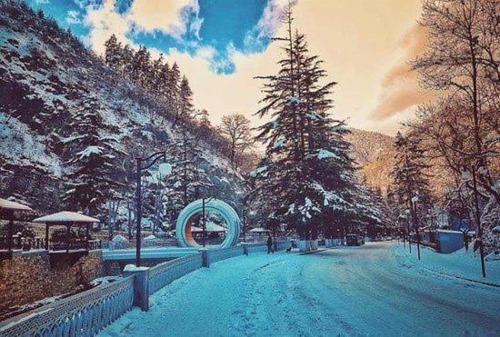 Holiday Borjomi Qvibisi Ngoại thất bức ảnh