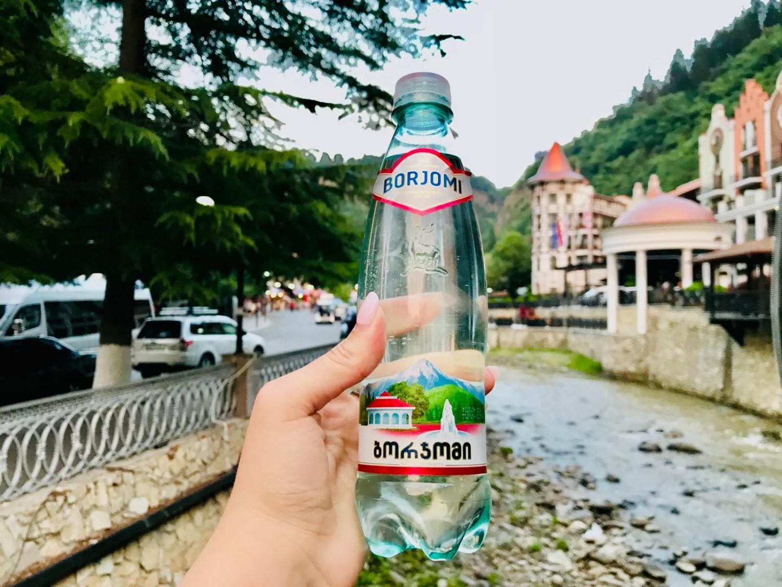 Holiday Borjomi Qvibisi Ngoại thất bức ảnh
